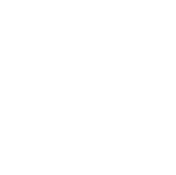 Heart Icon